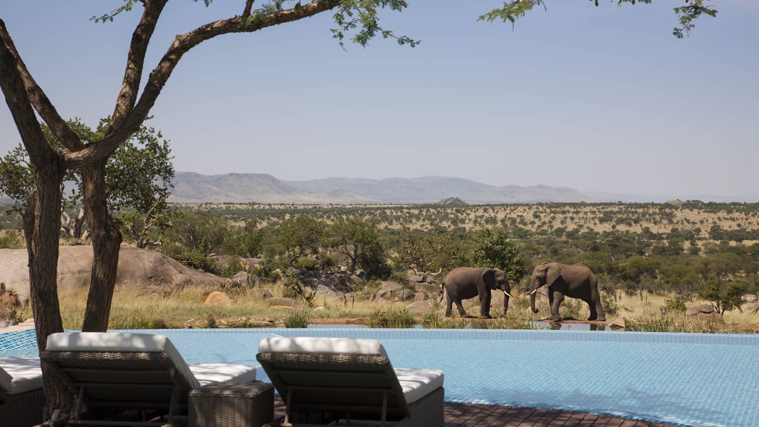 Four Seasons Serengeti