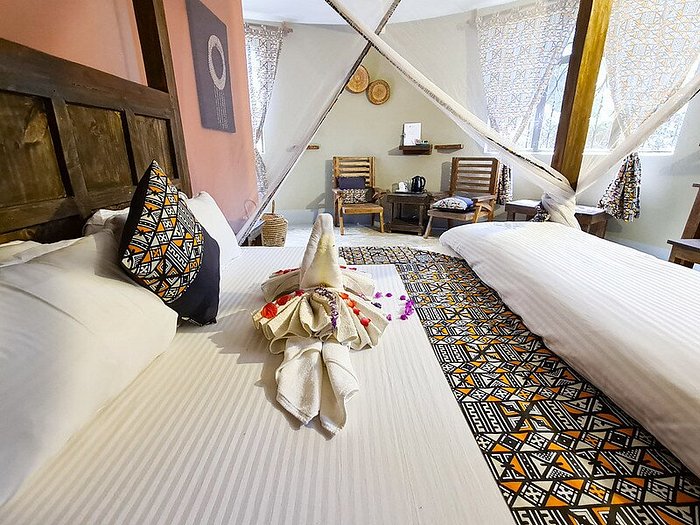 Africa safari Arusha lodge 