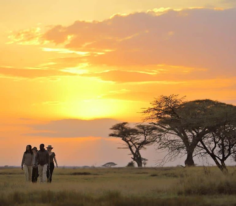 bush-walk-serengeti-national-park
